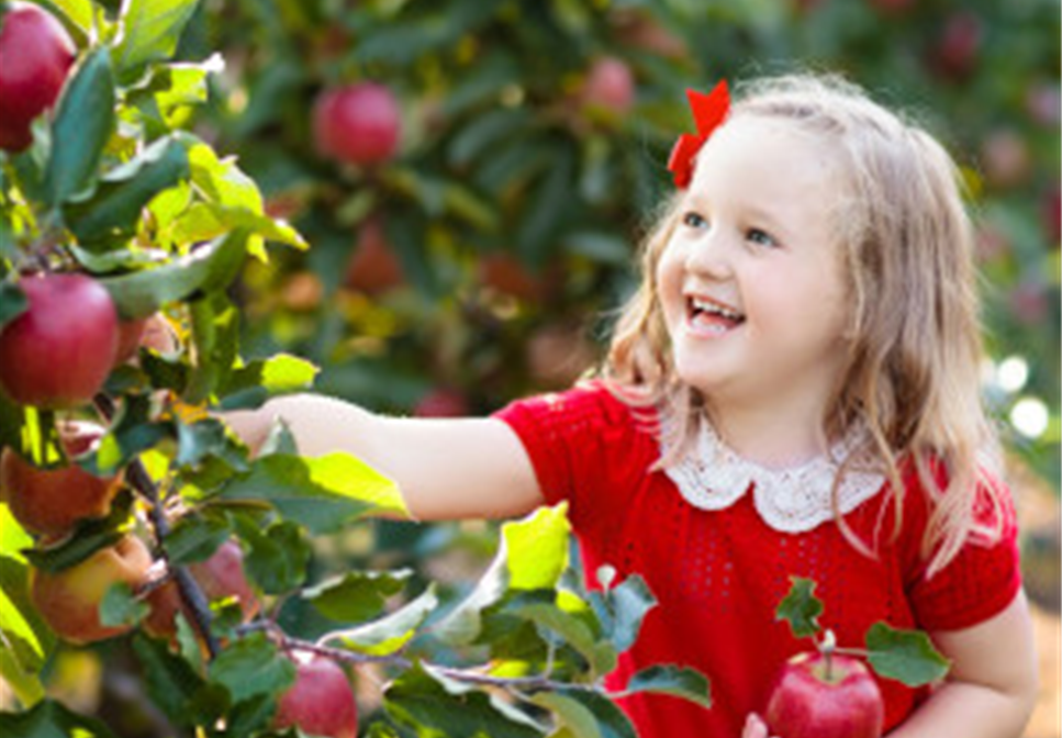 OBSTGARTEN FÜR KINDER