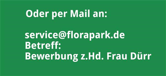 Bewerbung Mail.jpg