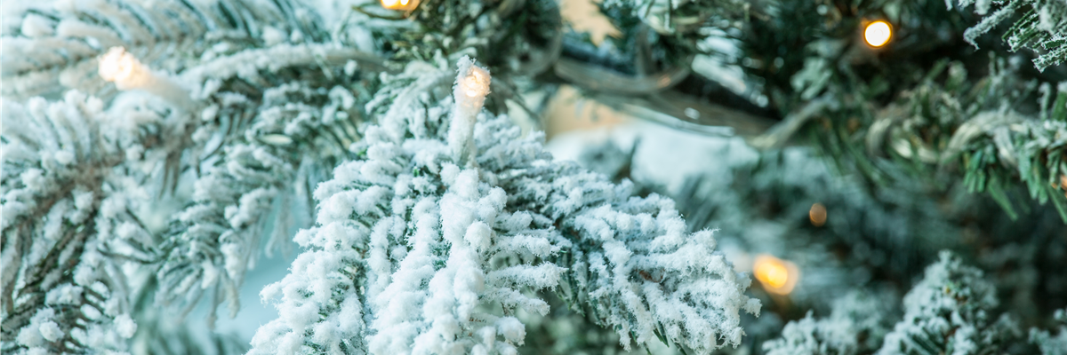 Lichter am Weihnachtsbaum